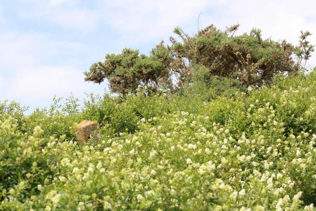 Gite Ouest De La Pointe D'Agon Εξωτερικό φωτογραφία